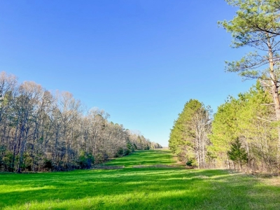 Country Home and Land for Sale in Hinds County, MS - image 24