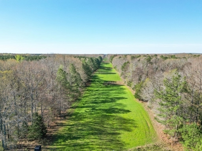 Country Home and Land for Sale in Hinds County, MS - image 7