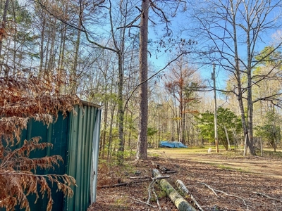 Country Home and Land for Sale in Hinds County, MS - image 29