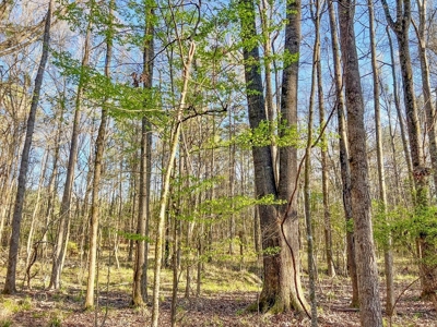 Country Home and Land for Sale in Hinds County, MS - image 32
