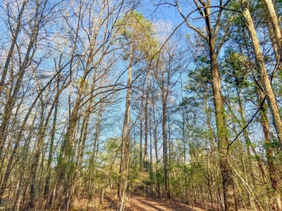 Country Home and Land for Sale in Hinds County, MS - image 27