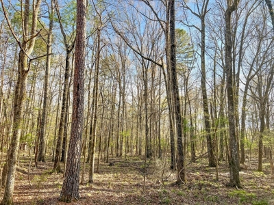 Country Home and Land for Sale in Hinds County, MS - image 19