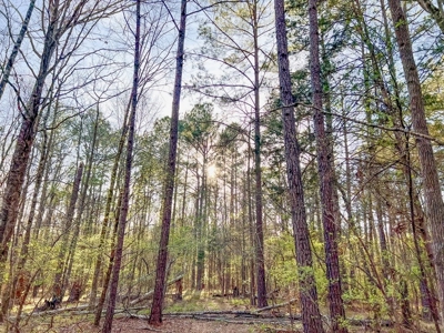 Country Home and Land for Sale in Hinds County, MS - image 30
