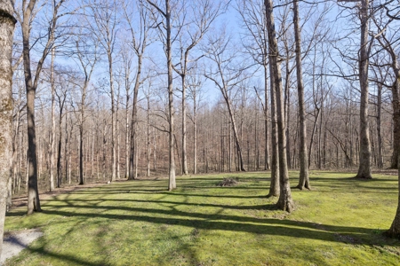 Serene Country Estate on 7 Acres: A Blend of Rustic Charm - image 31