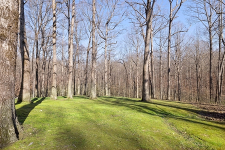 Serene Country Estate on 7 Acres: A Blend of Rustic Charm - image 33