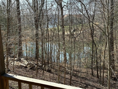 Lakeview Home in Byrdstown, Tennessee - image 7