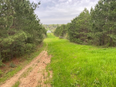 288.53 Acres of Hunting Land in Shelby County near Tenaha - image 21