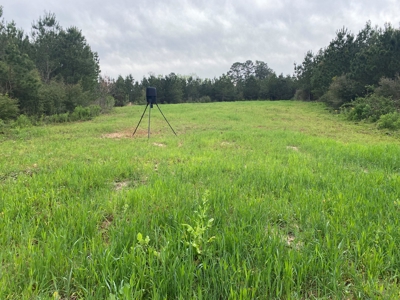 288.53 Acres of Hunting Land in Shelby County near Tenaha - image 20