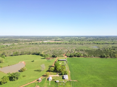 288.53 Acres of Hunting Land in Shelby County near Tenaha - image 39