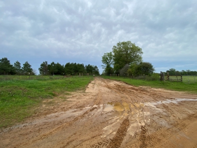288.53 Acres of Hunting Land in Shelby County near Tenaha - image 25