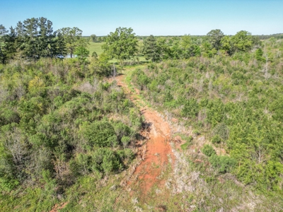 288.53 Acres of Hunting Land in Shelby County near Tenaha - image 45