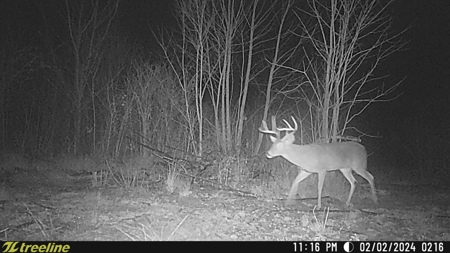 288.53 Acres of Hunting Land in Shelby County near Tenaha - image 37