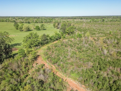 288.53 Acres of Hunting Land in Shelby County near Tenaha - image 43