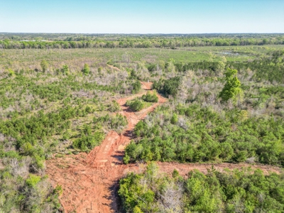 288.53 Acres of Hunting Land in Shelby County near Tenaha - image 41