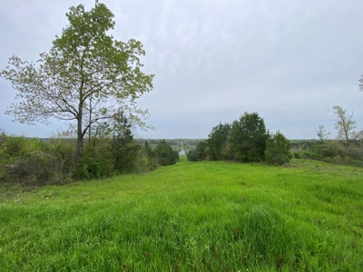 288.53 Acres of Hunting Land in Shelby County near Tenaha - image 9