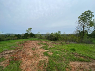 288.53 Acres of Hunting Land in Shelby County near Tenaha - image 8
