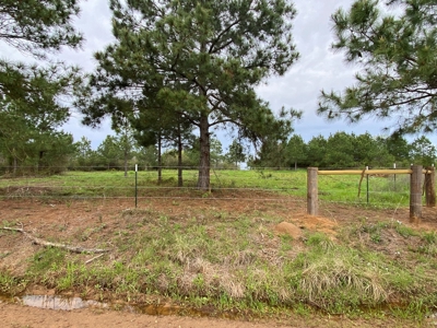 288.53 Acres of Hunting Land in Shelby County near Tenaha - image 26