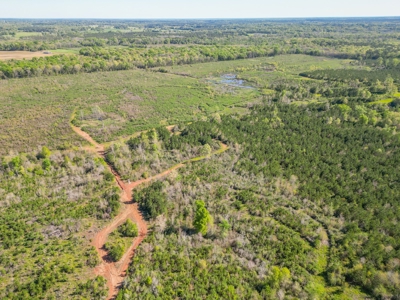 288.53 Acres of Hunting Land in Shelby County near Tenaha - image 40