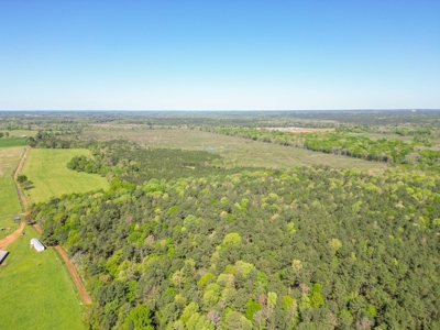 288.53 Acres of Hunting Land in Shelby County near Tenaha - image 47