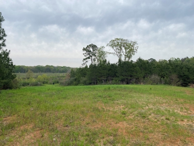 288.53 Acres of Hunting Land in Shelby County near Tenaha - image 19