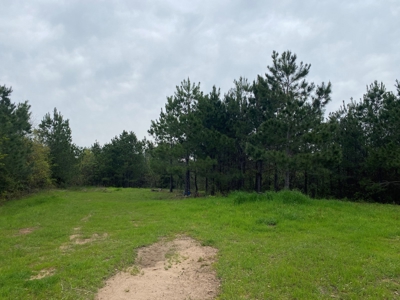 288.53 Acres of Hunting Land in Shelby County near Tenaha - image 13