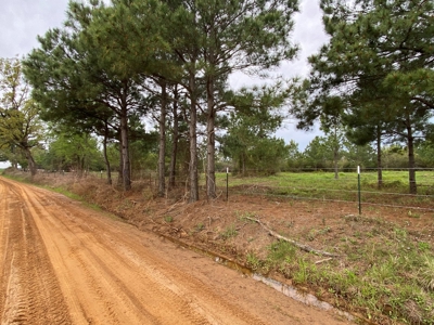 288.53 Acres of Hunting Land in Shelby County near Tenaha - image 27