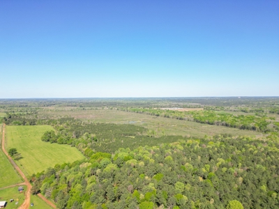 288.53 Acres of Hunting Land in Shelby County near Tenaha - image 46