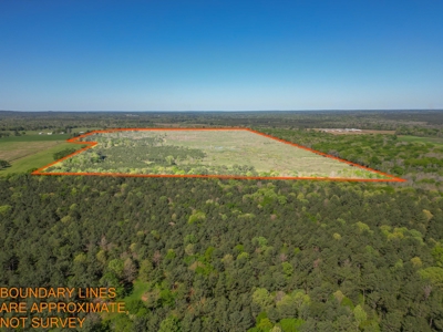 288.53 Acres of Hunting Land in Shelby County near Tenaha - image 50