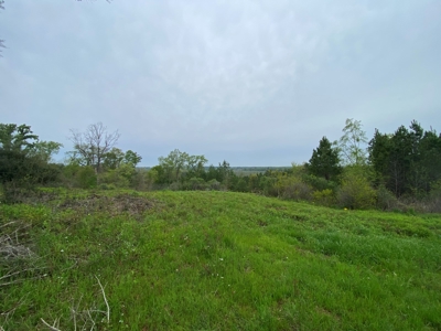 288.53 Acres of Hunting Land in Shelby County near Tenaha - image 7