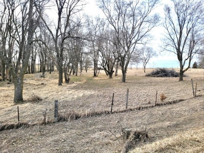 Saline County Lot for Sale! - image 4