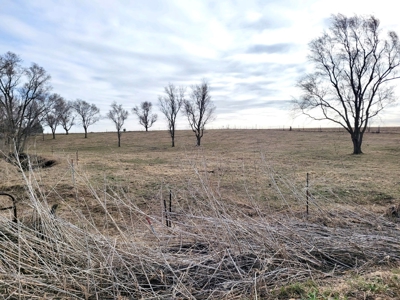 Saline County Lot for Sale! - image 1