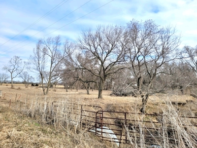 Saline County Lot for Sale! - image 2