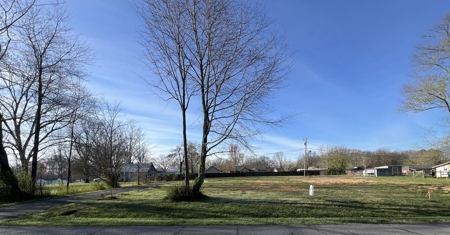 Land for Sale in Lewis County, Tennessee - image 1