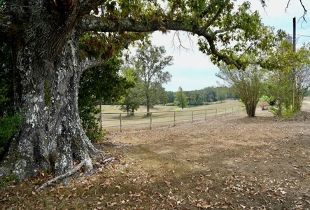 Country Home and Pastureland for Sale in Southwest MS - image 28