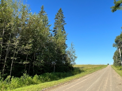 Clayton Brook Forest - image 8