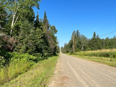Clayton Brook Forest - image 1
