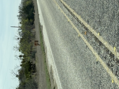 Texas Land for Sale in Sutton County near Sonora - image 21