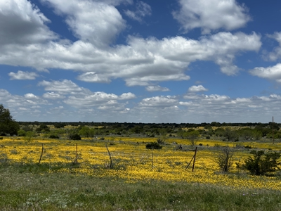 Texas Land for Sale in Sutton County near Sonora - image 23