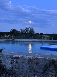 Texas Land for Sale in Sutton County near Sonora - image 44