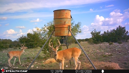 Texas Land for Sale in Sutton County near Sonora - image 2