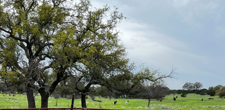 Texas Land for Sale in Sutton County near Sonora - image 24