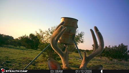 Texas Land for Sale in Sutton County near Sonora - image 4