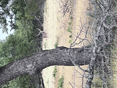 Texas Land for Sale in Sutton County near Sonora - image 21