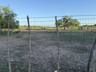 Texas Land for Sale in Sutton County near Sonora - image 30