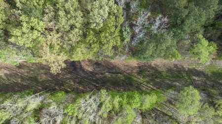 Land for sale Harrison County TX Hallsville ISD - image 12