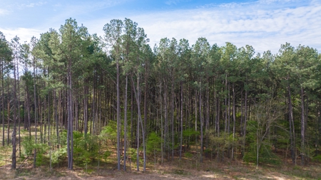 Land for sale Harrison County TX Hallsville ISD - image 24