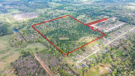 Land for sale Harrison County TX Hallsville ISD - image 8