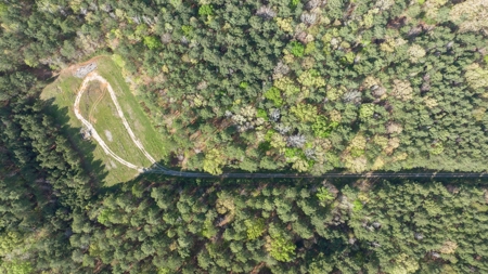 Land for sale Harrison County TX Hallsville ISD - image 16