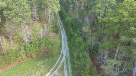 Land for sale Harrison County TX Hallsville ISD - image 15