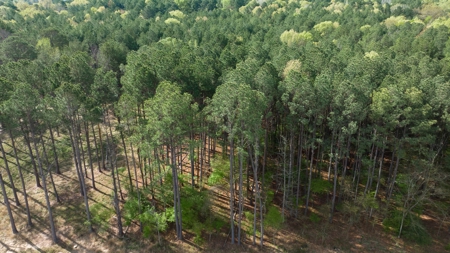 Land for sale Harrison County TX Hallsville ISD - image 23
